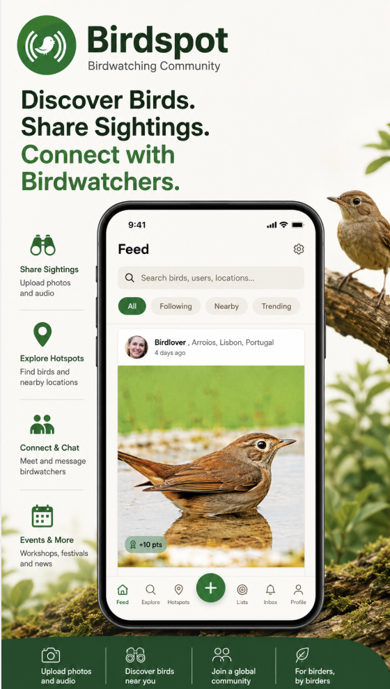 Feed screen
